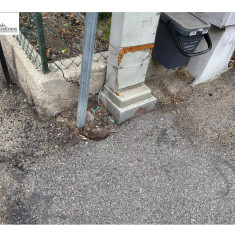Montesilvano, topi in in via Adige. Carcassa di ratto: residente invia richieste a ASL e Comune.