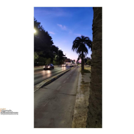 Montesilvano. Viabilità e modifiche alla circolazione per il weekend di eventi