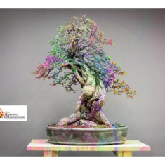 1 Maggio, la 48ª edizione della Mostra del Fiore-Florviva