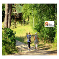 Turismo, 38 milioni di 