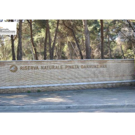 Pescara/Riserva Pineta Dannunziana, tre interventi di micro forestazione e restauro forestale