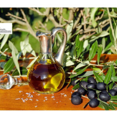 Cammino dell'olio di Essere Oltre.