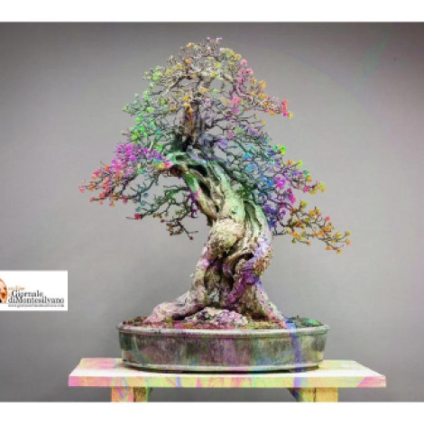 1 Maggio, la 48ª edizione della Mostra del Fiore-Florviva
