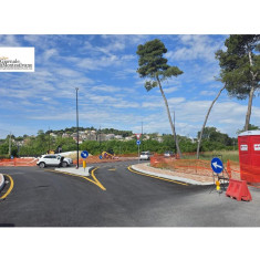 Pescara, il futuro della Pineta Dannunziana: piantumazione di circa cento pini marittimi
