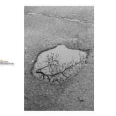 Abruzzo, ALI denuncia situazione drammatica per le strade Comunali e Provinciali.