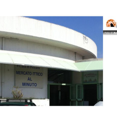 Pescara/mercato ittico. Flai Cgil, Fai Cisl e Uila Uil dicono no allo spostamento