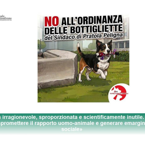 Pipì dei cani da lavare con le bottiglie e, l'ordinanza di Pratola Peligna finisce al TAR Abruzzo: chiesto l'annullamento