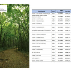 Abruzzo/4 milioni di euro per boschi e foreste, finanziati tutti i progetti