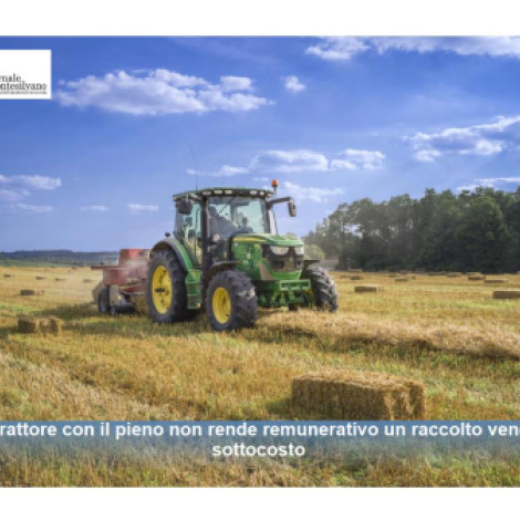 Agricoltura. 274 imprese in meno in un anno tra Chieti e Pescara. CIA: «Riportiamo al centro vino, reddito e PAC»