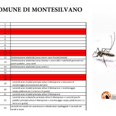 Montesilvano. Continua il piano di disinfestazione e trattamento antilarvale