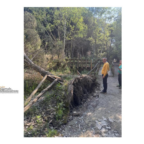 Pescara/Venerdì riaprono i comparti 3 e 4 della Pineta, il 2 rimane chiuso.