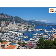 Guerra d'ombra e l'enigma del Battaglione di Monaco