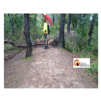 Pescara/Pineta dopo le 