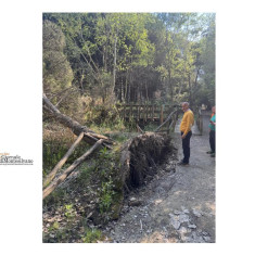 Pescara/Venerdì riaprono i comparti 3 e 4 della Pineta, il 2 rimane chiuso.