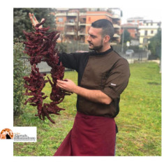 Giulianova, al Kursaal “A sentimento” dello chef “selvaggio” Davide Nanni