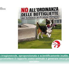 Pipì dei cani da lavare con le bottiglie e, l'ordinanza di Pratola Peligna finisce al TAR Abruzzo: chiesto l'annullamento