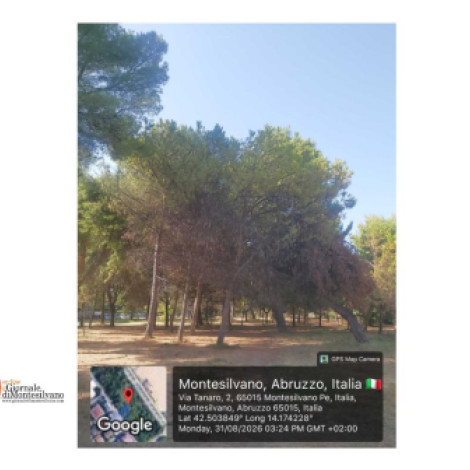 Montesilvano, 