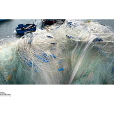 Sequestro di 3000 metri di reti da pesca abusive sulla costa abruzzese