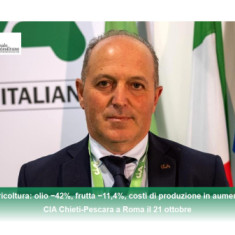 CIA: Prezzi agricoli in calo, costi di produzione in aumento e caro gasolio mettono a rischio il reddito delle imprese.