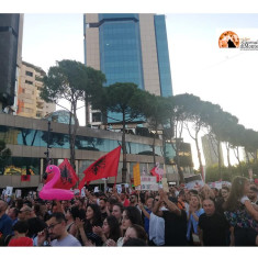 Albania/la rivoluzione dei fenicotteri: 96 giorni di protesta per difendere la laguna di Vjosa-Narta