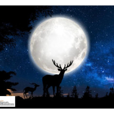 29 luglio, luna del Cervo. Ecco come goderla.