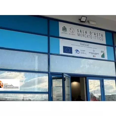 Pescara/emergenza pesca. Pettinari: 