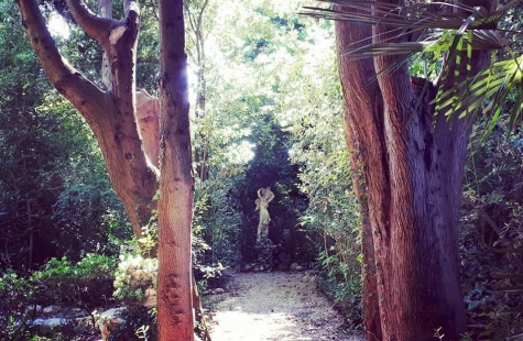 "Viviamo il giardino"  al Parco dei Ligustri a Loreto Aprutino