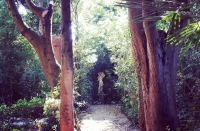 "Viviamo il giardino" al Parco dei Ligustri a Loreto Aprutino