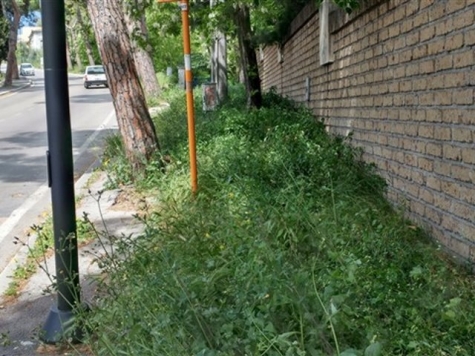 una delle 28 foto dei consiglieri