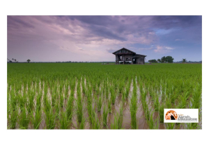 Indebita percezione di erogazioni pubbliche. Nereto, confiscati immobile per 160mila euro di valore.