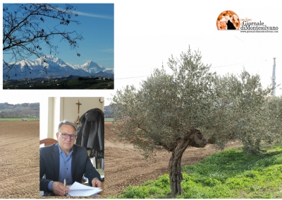 Collecorvino e Antonio Zaffiri.