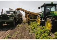 Agricoltura/censimento Istat. "Importante ma il può essere alleggerito"