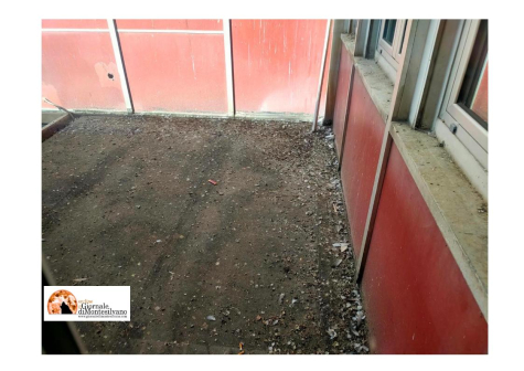 Pescara/ospedale. Guano, degrado e sporcizia nella Palazzina Covid: sanificare con la massima urgenza