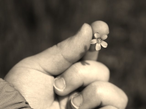 Novara /bimbo morto. Convalidato il fermo per la mamma e il suo compagno.