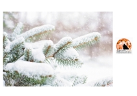 Natale con freddo e neve