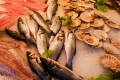 Pesce fresco dell'Adriatico torna a tavola: fine fermo biologico