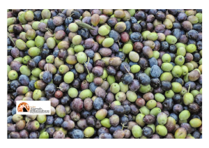 Operazione Oleum, sequestro preventivo per 1,4 mln di euro