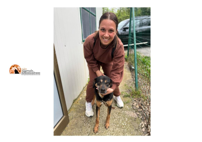 Fossacesia, niente cani in canile, affidato anche l'ultimo: Mantlhey