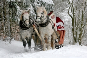 Atri, libri e cultura aspettando Babbo Natale