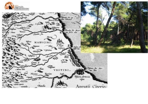 Pescara/Pineta Dannunziana. Co.n.al.pa.: dal Mirto alla rosa selvatica, valore storico dal 1574.