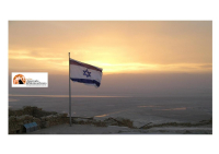 "Amnesty accusa falsamente Israele di genocidio con il fine di demonizzare lo Stato Ebraico"