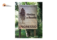 Rosello, promosso "Borgo nazionale del respiro"