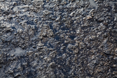 foto indicativa non attiene al luogo descritto nell'articolo