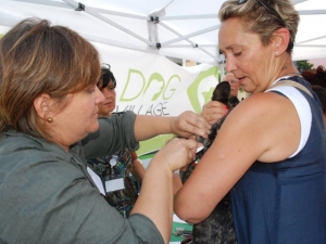 Loreto Aprutino/dog village. Tutti i cani con microchip, "iniziativa necessaria"