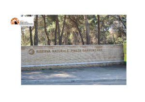 Pescara/Riserva Pineta Dannunziana, tre interventi di micro forestazione e restauro forestale