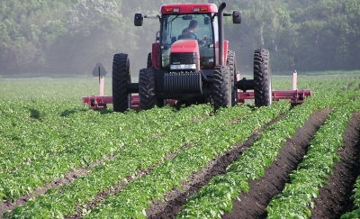 Abruzzo/Servizio civile in agricoltura, costerebbe 70 posti, 365mila euro