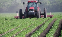 Abruzzo/Servizio civile in agricoltura, costerebbe 70 posti, 365mila euro