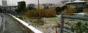 luogo del sinistro