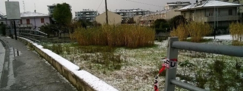 luogo del sinistro