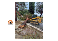 Fossacesia/maltempo. Comune chiede stato di emergenza